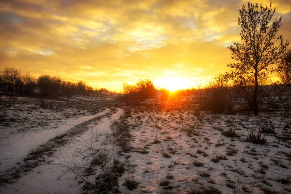 Dirt Track Field Snow Dawn Dusk Snow Covered Country Road — Stok fotoğraf