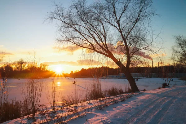 Winterlandschaft Mit Sonnenuntergang Zusammensetzung Der Natur — Stockfoto