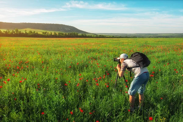 Photographer Taking Pictures Field Poppies Sunset — Stock Photo, Image
