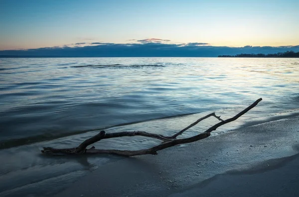 Madeira morta no mar. Um obstáculo na areia da praia — Fotografia de Stock