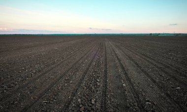 Dikim için alan hazırlama. B ile ilkbaharda toprak sürülmüş