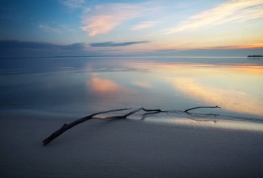 Ölü odun denizin içinde. Plajın kumları üzerinde bir engel