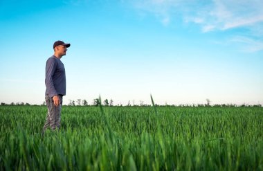 Yakışıklı çiftçi. Yeşil alanda yürüyen genç bir adam. Bahar agricu