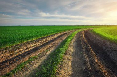 İlkbaharın erken saatlerinde çayır arasındaki toprak yol ile peyzaj. Agricul