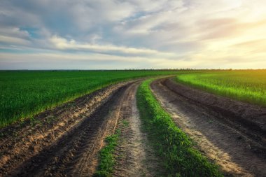 İlkbaharın erken saatlerinde çayır arasındaki toprak yol ile peyzaj. Agricul