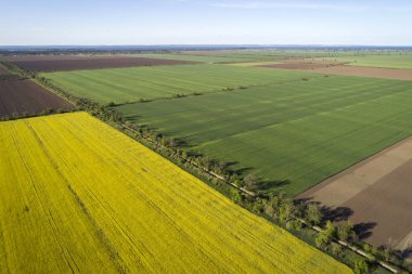 Sarı ve yeşil tecavüz alanları, hava manzarası. 