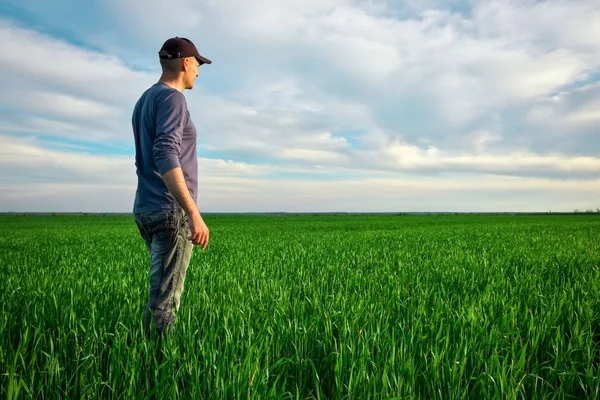 Hezký farmář. Mladý muž, který chodí v zeleném poli. Jarní agricu — Stock fotografie