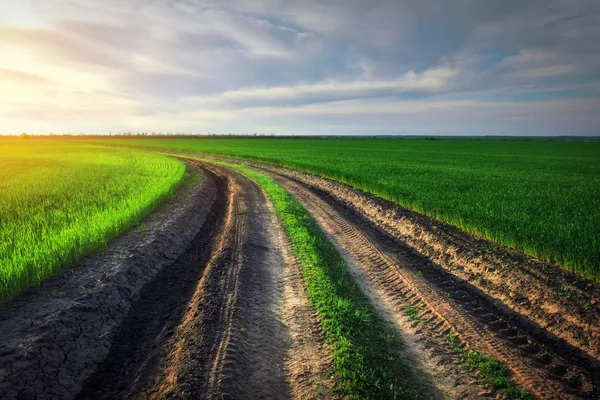 Landscape with dirt road between meadow early in spring. Agricul — Stock Photo, Image