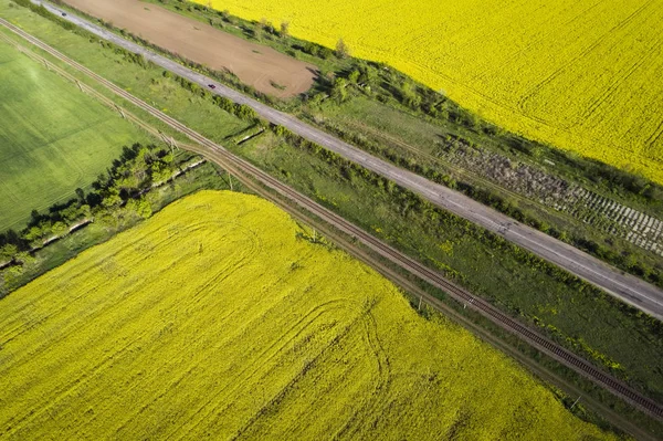 Gula och gröna fält, flygutsikt. Bilar går på vägen. — Stockfoto