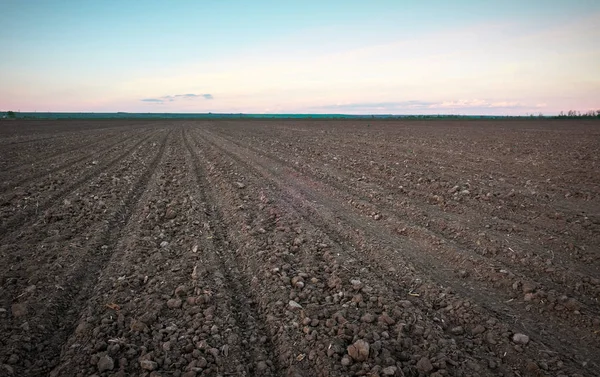 Preparare il campo per la semina. Terreno arato in primavera con b — Foto Stock