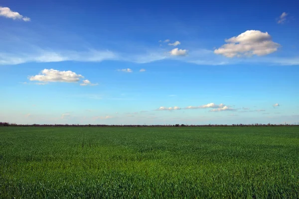 Piękny krajobraz z niesamowitym błękitnym zachmurzone niebo i zielony gr — Zdjęcie stockowe