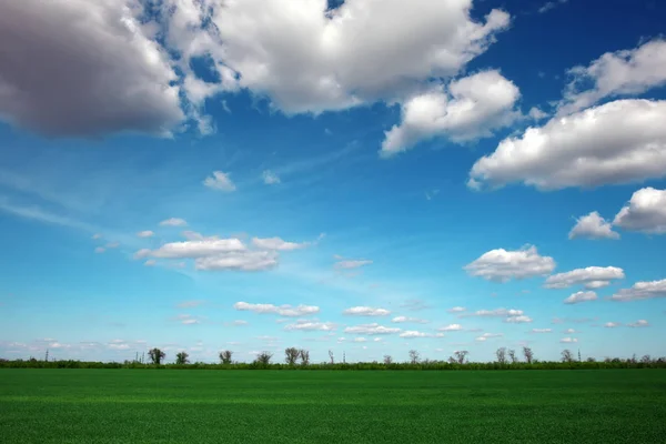 Beautiful landscape with an amazing blue cloudy sky and green gr — Stock Photo, Image