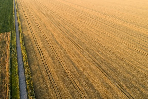 Areal widok pola uprawne w słoneczny letni dzień — Zdjęcie stockowe