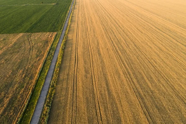 Areala vy av gröda fält i solig sommardag — Stockfoto