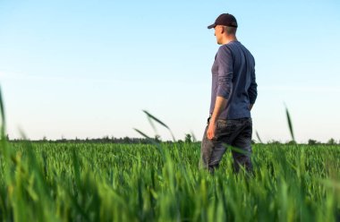 Yakışıklı çiftçi. Yeşil alanda yürüyen genç bir adam. Bahar agricu