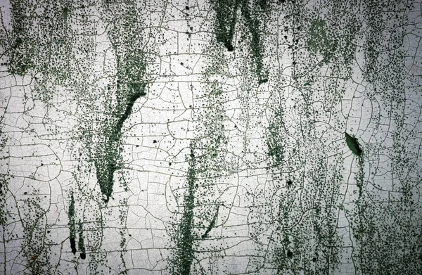 Βαμμένο λευκό σπασμένο τοίχο με μούχλα. Η υφή του παλιού τοίχου. T — Φωτογραφία Αρχείου