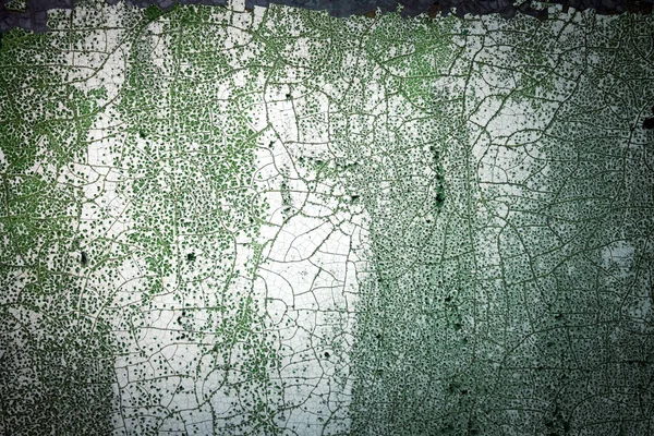 Βαμμένο λευκό σπασμένο τοίχο με μούχλα. Η υφή του παλιού τοίχου. T — Φωτογραφία Αρχείου