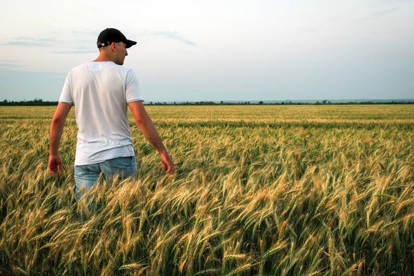 Чоловік фермер стоїть на пшеничному полі під час заходу сонця. Людина насолоджується — стокове фото