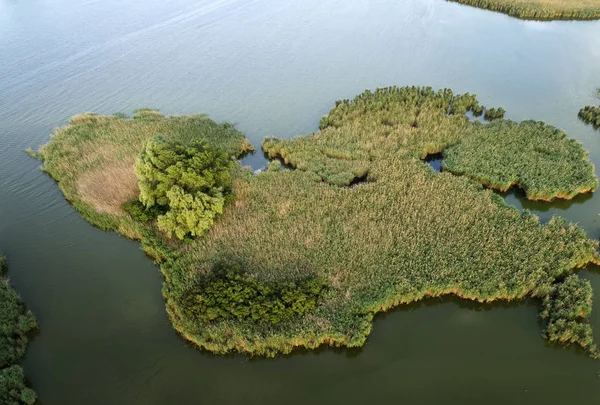 Swampy lake, aerial photography, on a summer day, background ima