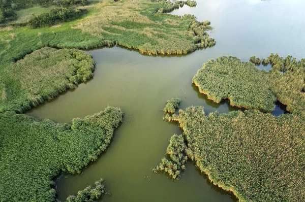 Swampy lake, aerial photography, on a summer day, background ima