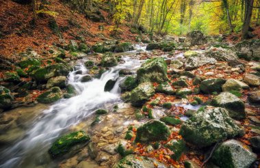 Muhteşem sonbahar manzarası. Renkli sonbahar parkında Yel 'li bir nehir