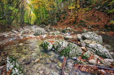Muhteşem sonbahar manzarası. Renkli sonbahar parkında Yel 'li bir nehir