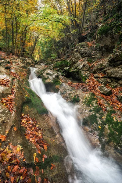素晴らしい秋の風景。色鮮やかな秋の公園内の川。 — ストック写真