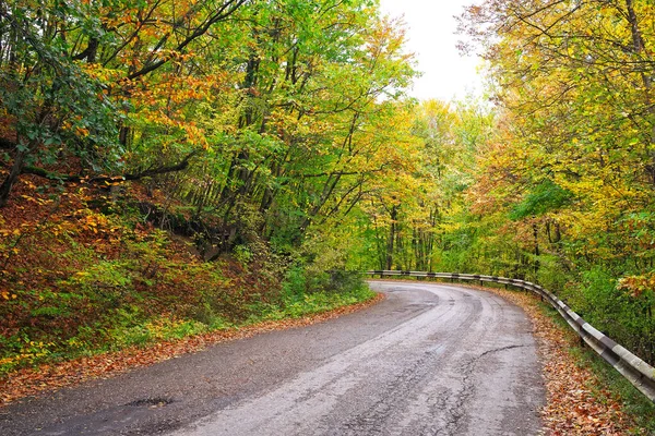 Road in kleurrijke herfst bos. Samenstelling van de natuur — Stockfoto