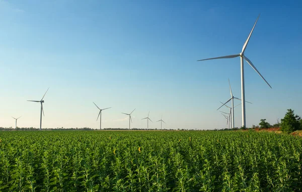 Wind turbines and agricultural field on a summer cloudy day. Ene — Stock Photo, Image