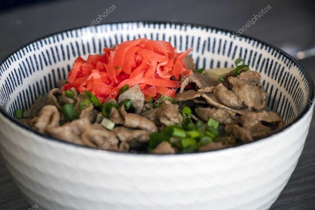 Gyudon - traditional Japanese rice bowl dish. Asian Cuisine. Don