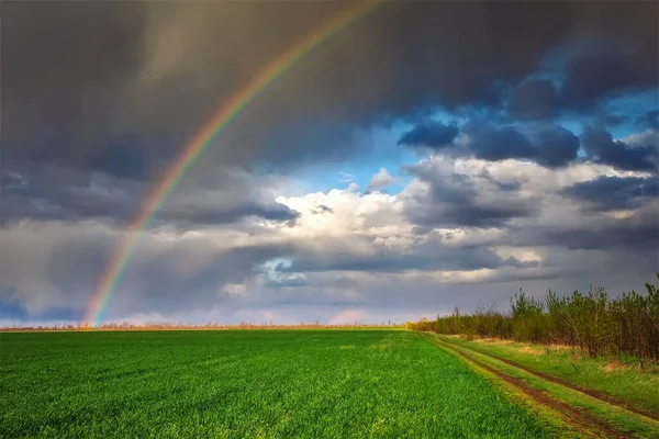 Regenbogen Über Einem Frühlingshaften Grünen Feld Schöne Landschaft — Stockfoto