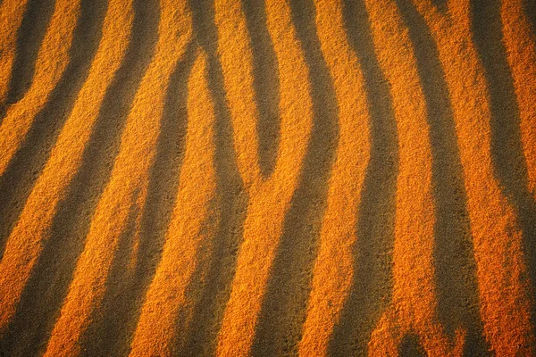 Areia Dourada Deserto Durante Pôr Sol Como Fundo — Fotografia de Stock