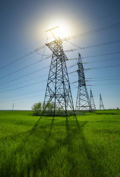 High Voltage Lines Power Pylons Flat Green Agricultural Landscape Sunny — Stock Photo, Image