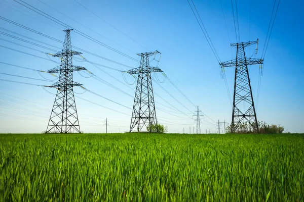 High Voltage Lines Power Pylons Flat Green Agricultural Landscape Sunny — Stock Photo, Image