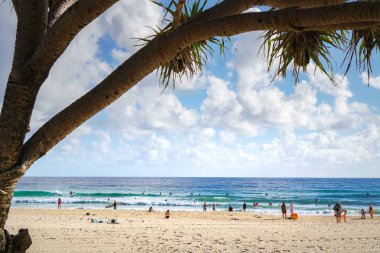 Gold Coast, Queensland, Avustralya - Aralık, 2018: Gold Coast'ta dinlendirici yaşam tarzının keyfini çıkaran sörfçüler ve plaj müdavimleri ile dolu tropik kumsalların çarpıcı manzarası.