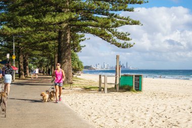Gold Coast, Avustralya - Aralık,2018: Pasifik Okyanusu'nun muhteşem manzarasıyla Gold Coast'taki Burleigh Heads'de parkta köpekleriile koşan genç kadın.