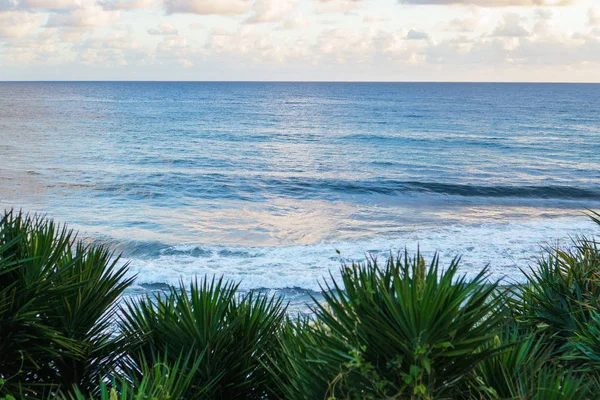 Hermosa Vista Del Paisaje Del Océano Las Plantas Verdes Primer — Foto de Stock