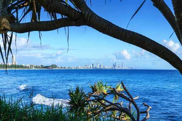 Gold Coast siluetinin güzel manzarası ve dalgalar ile sörf plaj, Burleigh Heads, Queensland, Avustralya de ağaçların arasından görülebilir.