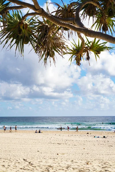 Costa Oro Queensland Australia Diciembre 2018 Impresionante Vista Playa Arena — Foto de Stock