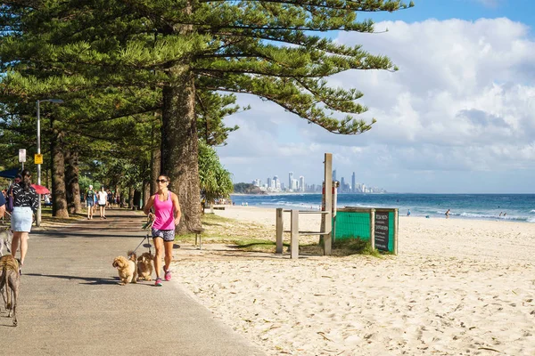 Gold Coast, Avustralya - Aralık,2018: Pasifik Okyanusu'nun muhteşem manzarasıyla Gold Coast'taki Burleigh Heads'de parkta köpekleriile koşan genç kadın.