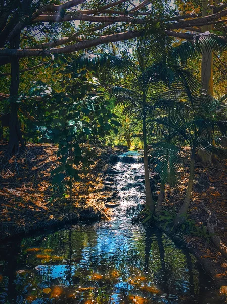 Gyönyörű Őszi Táj Vízesés Erdőben Lehullott Levelek Vízben — Stock Fotó
