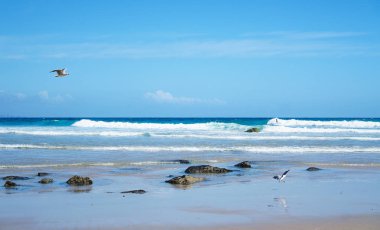Gökkuşağı Körfezi Sahili 'nin muhteşem manzarası. Okyanus dalgaları ve arka planda Altın Sahil silueti, Queensland, Avustralya.. 