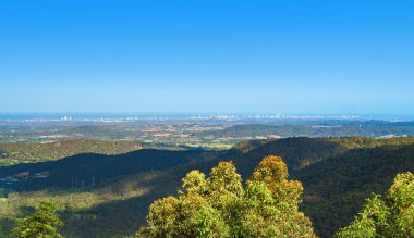 Altın Sahil şehrinin çarpıcı panoramik manzarası Tamborine Dağı, Queensland, Avustralya 'nın zirvesinden görülebiliyor..