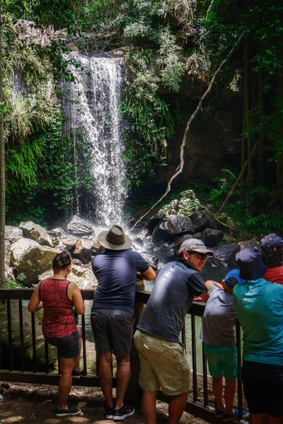 Turisták Gyönyörű Curtis Falls Tamborine Nemzeti Park Queensland Ausztrália — Stock Fotó