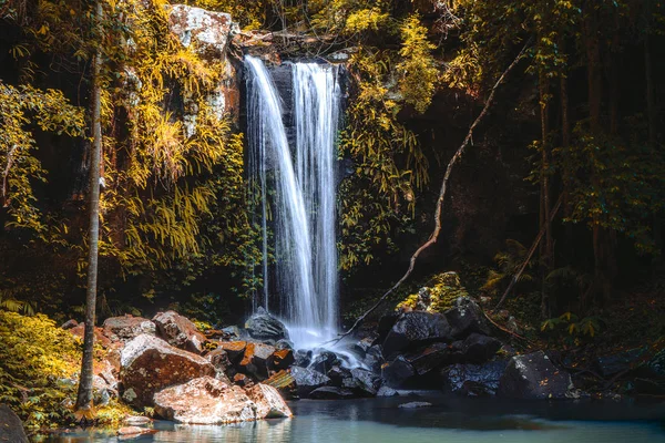 Avustralya, Queensland 'daki Tamborine Ulusal Parkı' ndaki Curtis Falls manzarasının panoramik görüntüsü. Sonbahar görünümü.