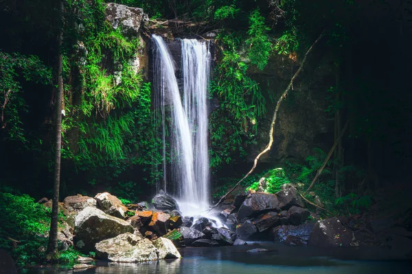 Tamborine Ulusal Parkı 'nın içinde, Queensland, Avustralya' da yemyeşil bir yağmur ormanında yer alan Curtis Falls Manzarası.. 