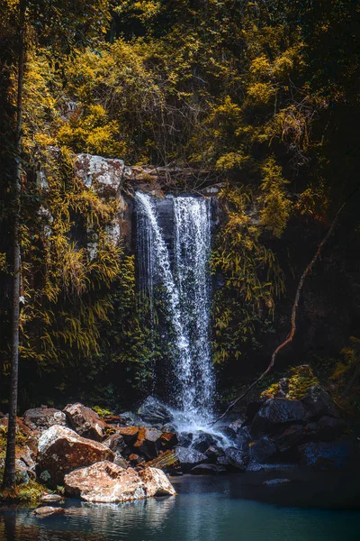 Vista Panorâmica Das Cachoeiras Panorâmicas Curtis Localizadas Parque Nacional Tamborine — Fotografia de Stock
