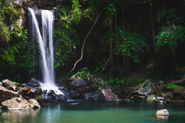 Tamborine Ulusal Parkı 'nın içinde, Queensland, Avustralya' da yemyeşil bir yağmur ormanında yer alan Curtis Falls Manzarası.. 