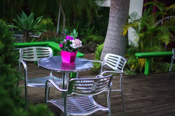 Vintage moody garden scene. Beautiful bouquet of white and pink roses in the pink vase standing on the metallic table in the green garden.