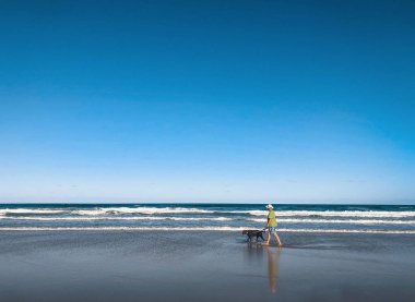 Sörfçüler Cenneti plajının güzel geniş panoramik manzarası. Avustralya 'nın Gold Coast sahilinde köpeğini gezdiren bir adam..